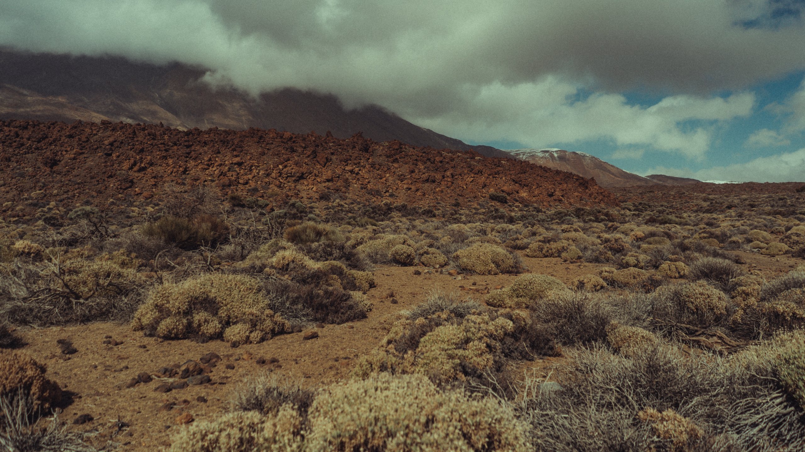 Teneryfa-04202-20220129-16-21-04_r5