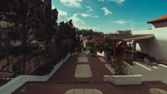 Teneryfa-03377-20220124-16-51-50_r5