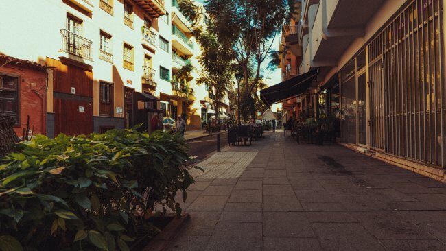 Teneryfa-03387-20220124-17-12-43_r5