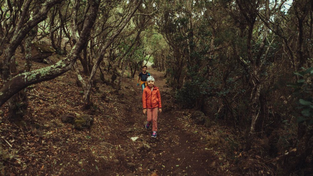 Teneryfa-03546-20220125-15-42-55_r5